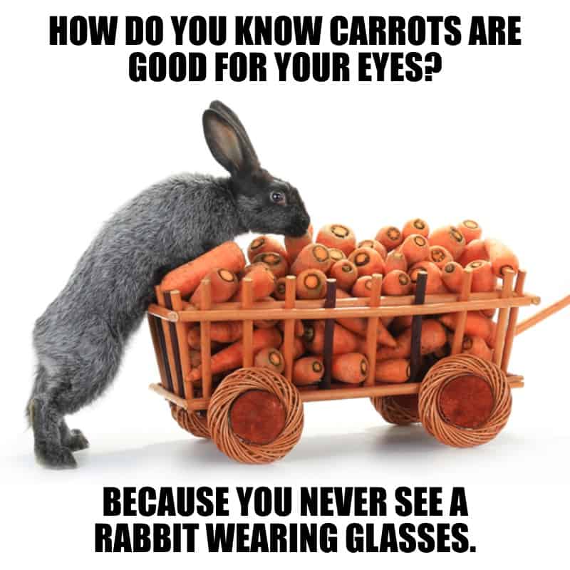 How do you know carrots are good for your eyes Because you never see a rabbit wearing glasses