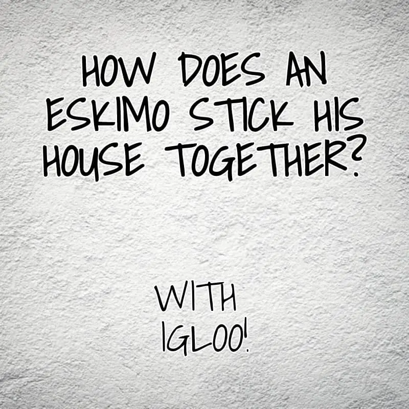 How does an Eskimo stick his house together With igloo