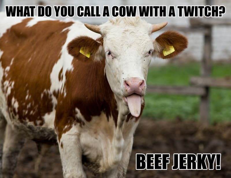 What do you call a Cow with a twitch Beef Jerky