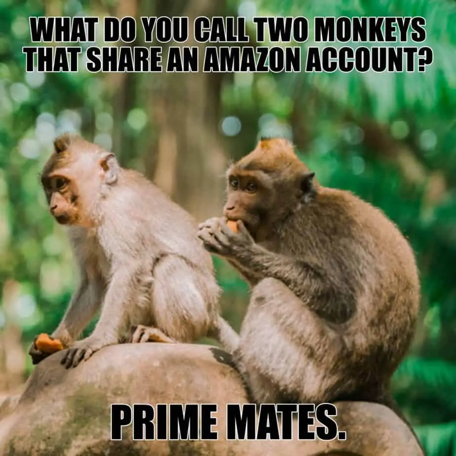 What do you call two monkeys that share an Amazon account Prime mates