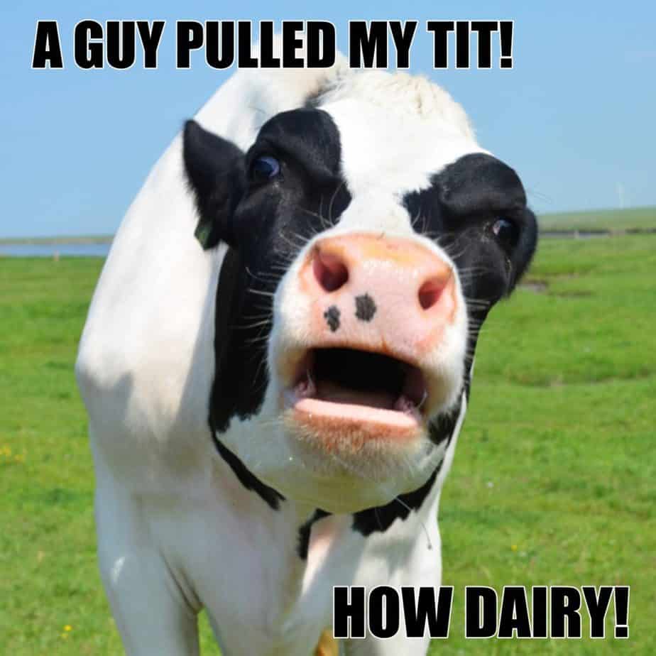 A guy pulled my tit How dairy