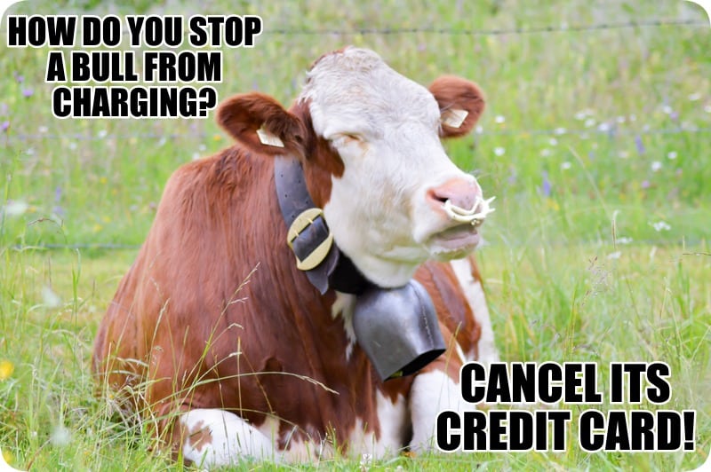 Corny and Cheesy Jokes - How do you stop a bull from charging?