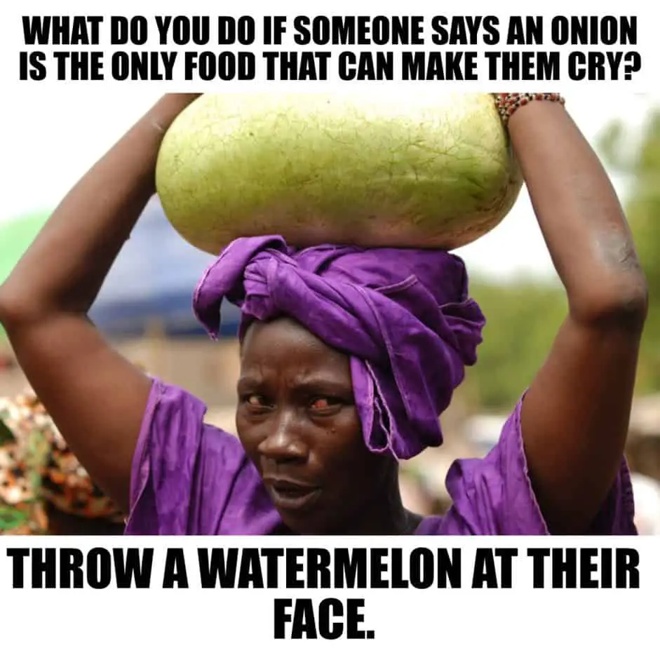 WHAT DO YOU DO IF SOMEONE SAYS AN ONION IS THE ONLY FOOD THAT CAN MAKE THEM CRY THROW A WATERMELON AT THEIR FACE