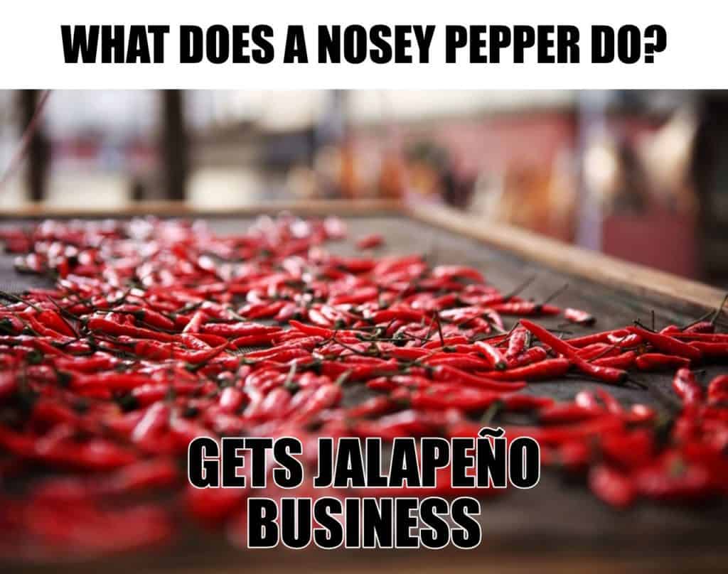 WHAT DOES A NOSEY PEPPER DO GETS JALAPEÑO BUSINESS 1