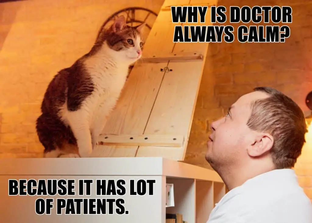 WHY IS DOCTOR ALWAYS CALM BECAUSE IT HAS LOT OF PATIENTS