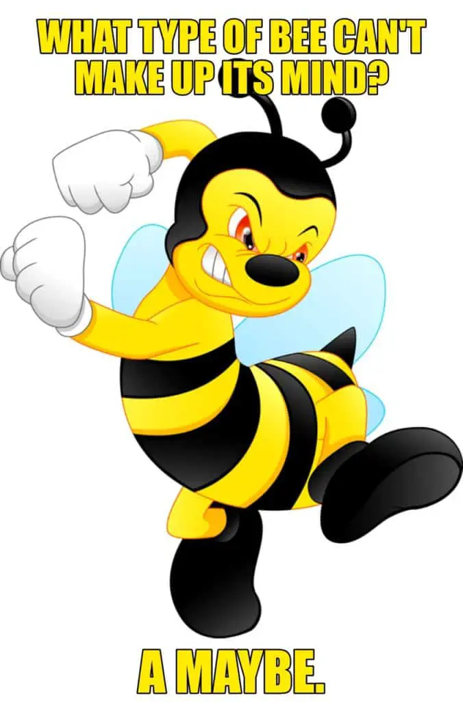 What type of bee cant make up its mind A maybe