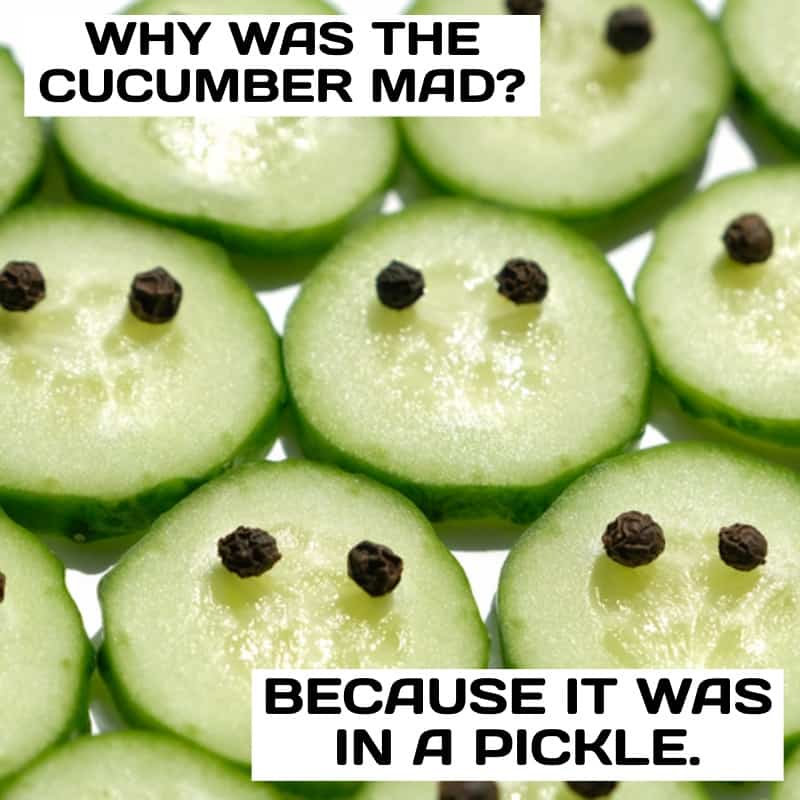 Why was the cucumber mad Because it was in a pickle