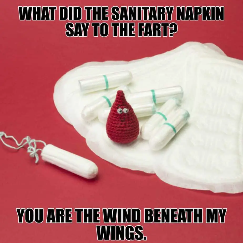What did the sanitary napkin say to the fart You are the wind beneath my wings