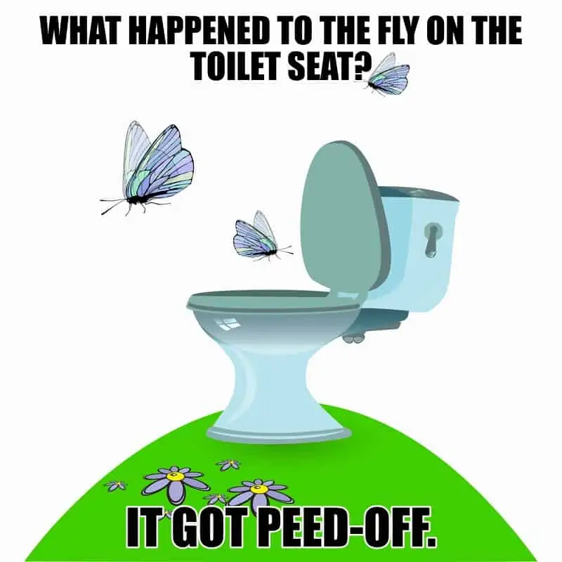 What happened to the fly on the toilet seat It got peedoff