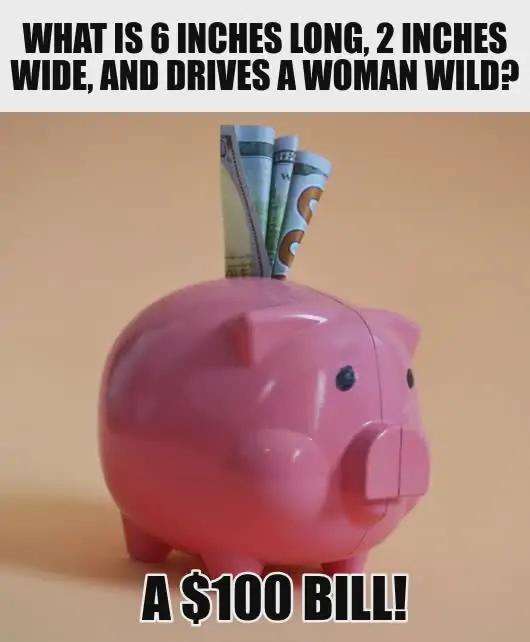 What is 6 inches long 2 inches wide and drives a woman wild A 100 bill