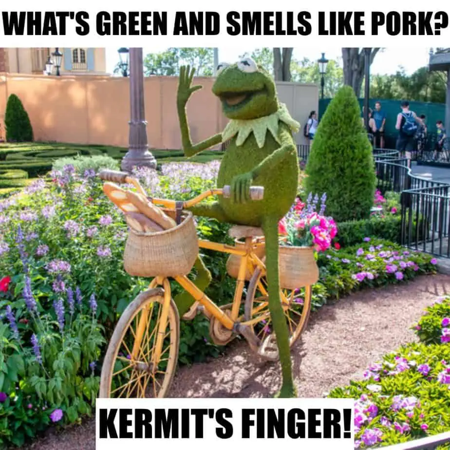 Whats green and smells like pork Kermits Finger