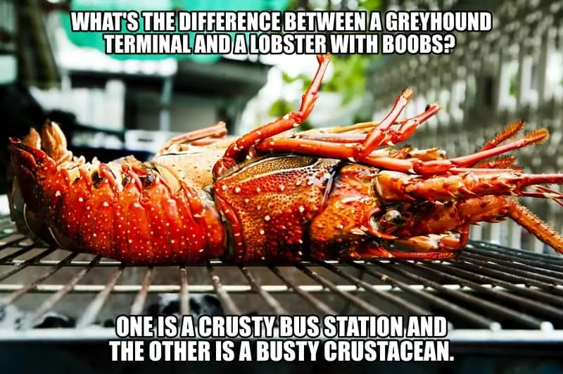 Whats the difference between a Greyhound terminal and a lobster with boobs One is a crusty bus station and the other is a busty crustacean