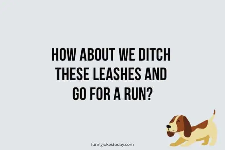 Dog Jokes - How about we ditch these leashes and go for a run?