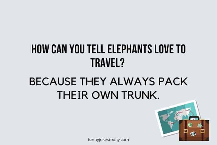 Travel Jokes - How can you tell elephants love to travel?