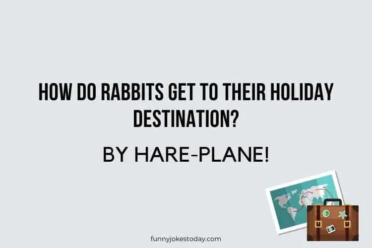 Travel Jokes - How do rabbits get to their holiday destination?