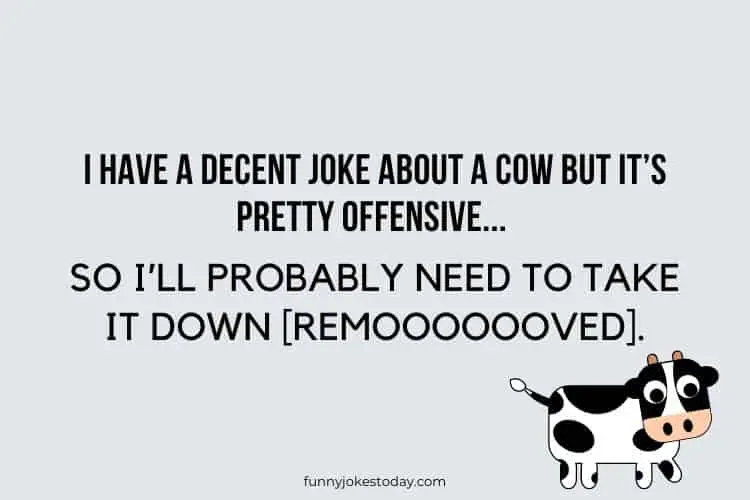 Cow Jokes - I have a decent joke about a cow but it’s pretty offensive