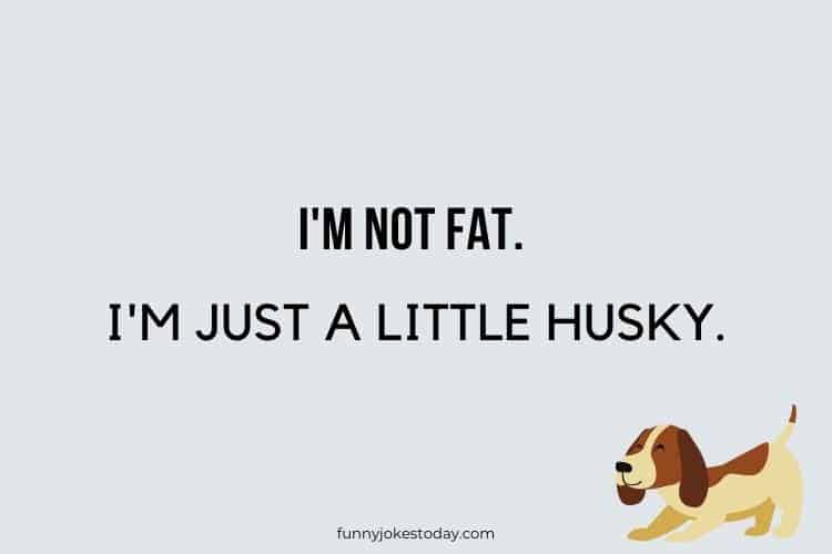 Dog Jokes - I'm not fat. I'm just a little husky.