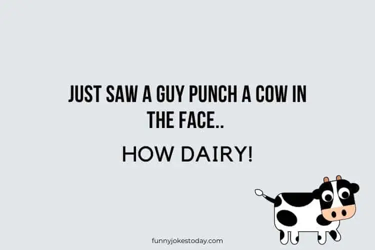 Cow Jokes - Just saw a guy punch a cow in the face... 
