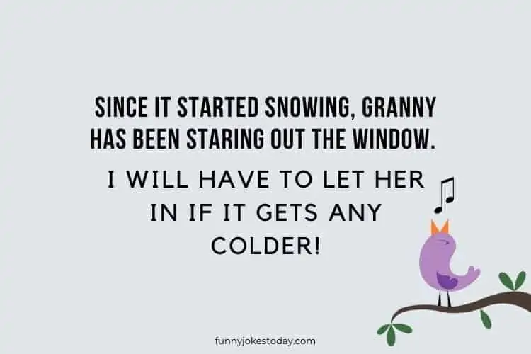 Since it started snowing Granny has been staring out the window. I will have to let her in if it gets any colder