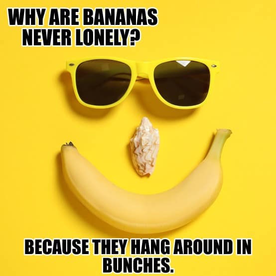 Corny and Cheesy Jokes - Why are bananas never lonely?