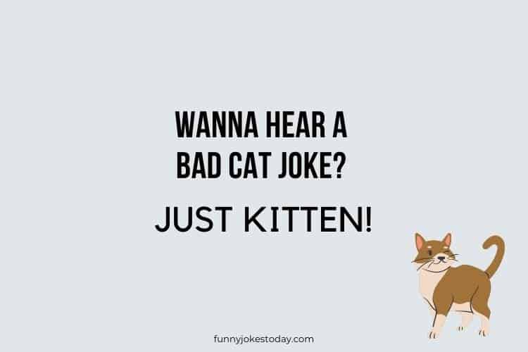 Cat Jokes - Wanna hear a bad cat joke?