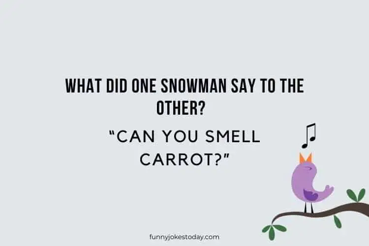 What did one snowman say to the other Can you smell carrot