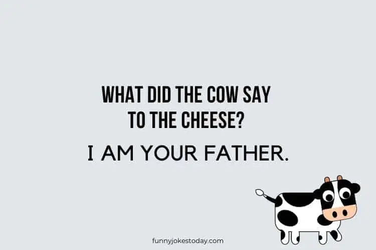 Cow Jokes - What did the cow say to the cheese?