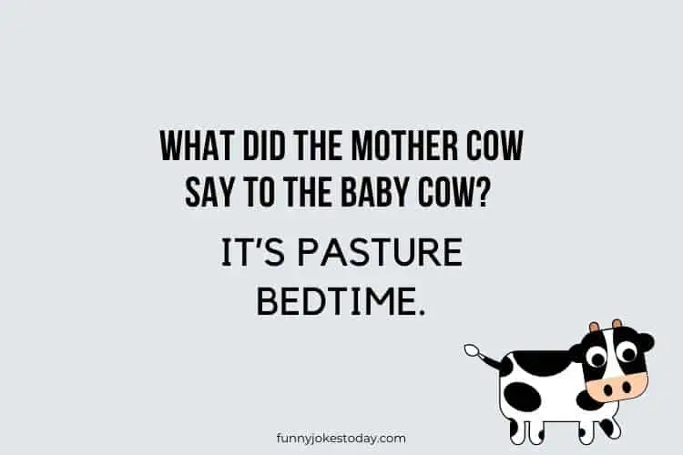 Cow Jokes - What did the mother cow say to the baby cow?