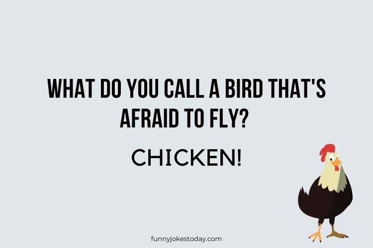 Chicken Jokes - What do you call a bird that's afraid to fly? 