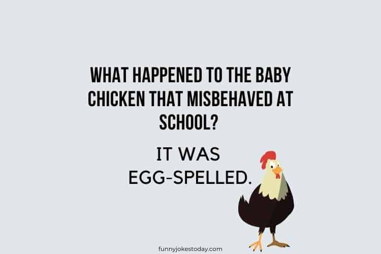 Chicken Jokes - What happened to the baby chicken that misbehaved at school?