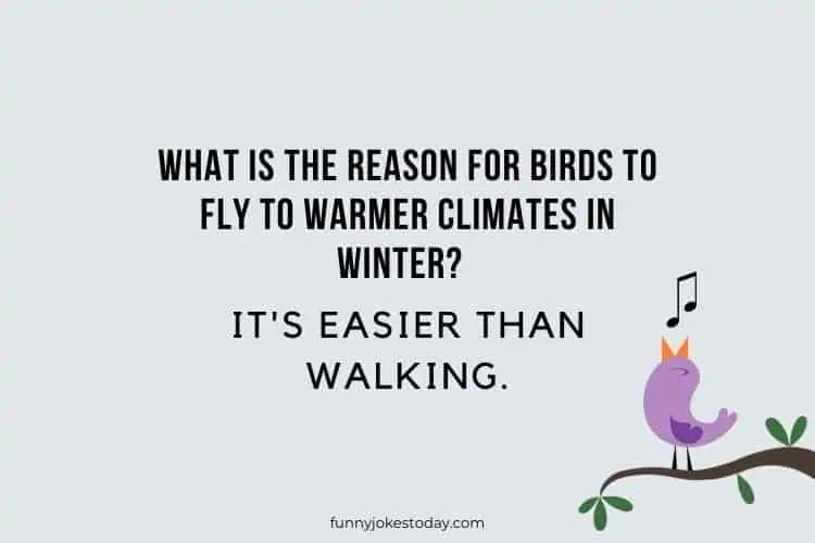 What is the reason for birds to fly to warmer climates in winter Its easier than walking.
