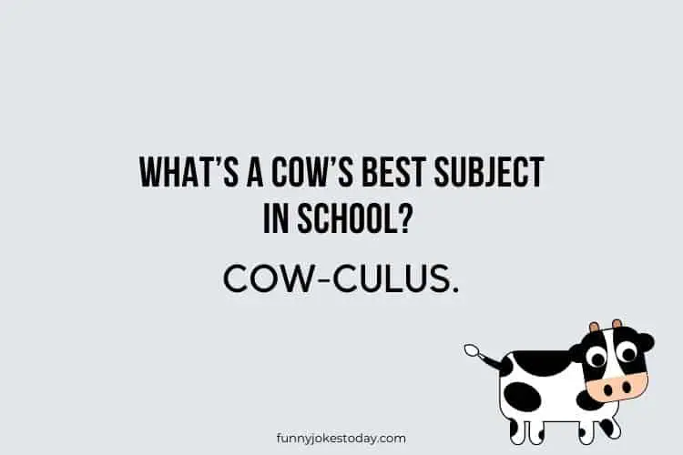 Cow Jokes - What’s a cow’s best subject in school?