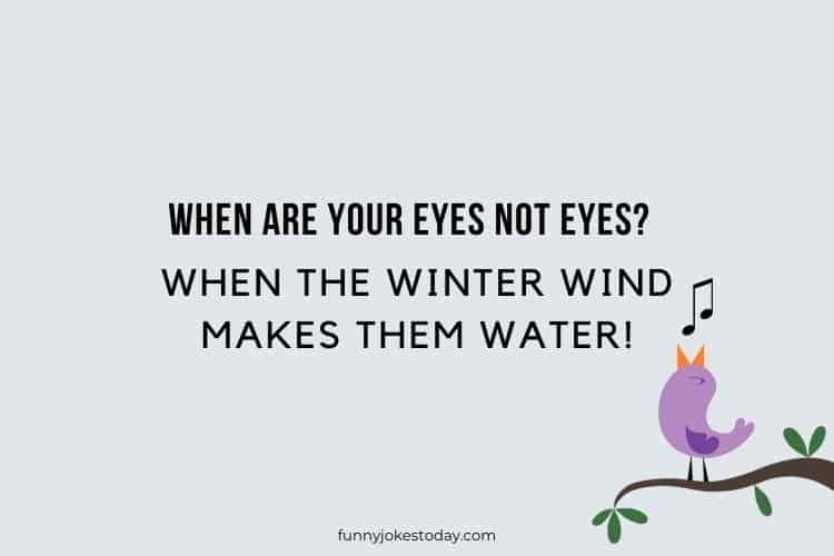When are your eyes not eyes When the winter wind makes them water