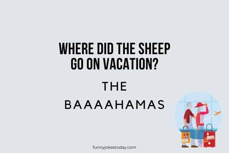 Vacation Jokes - Where did the sheep go on vacation?  