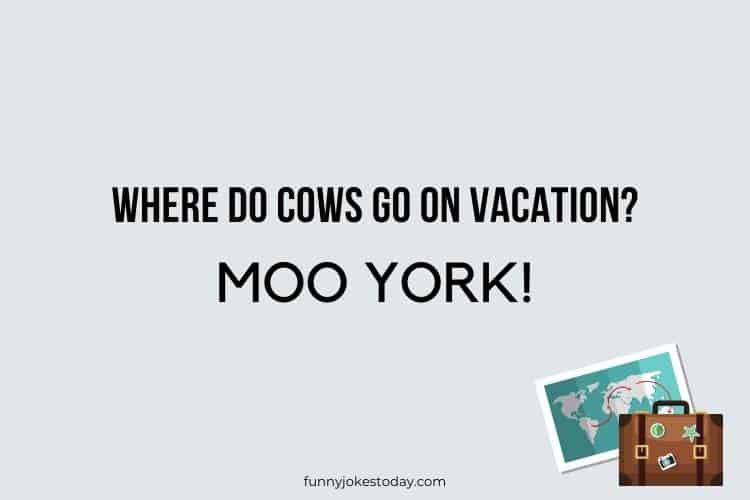 Travel Jokes - Where do cows go on vacation?