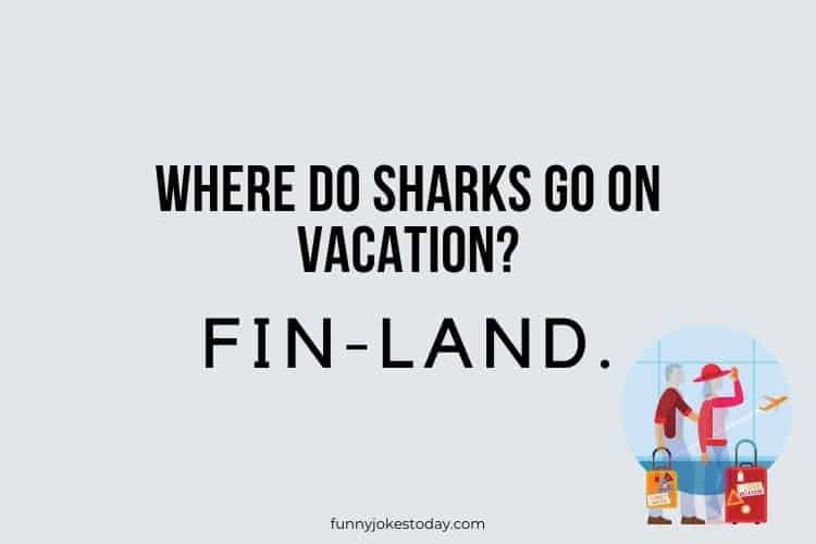 Vacation Jokes - Where do sharks go on vacation? 