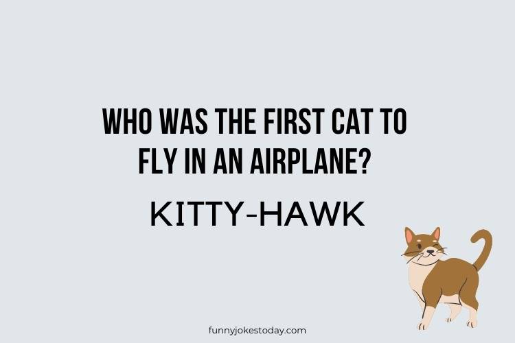 Cat Jokes - Who was the first cat to fly in an airplane? 