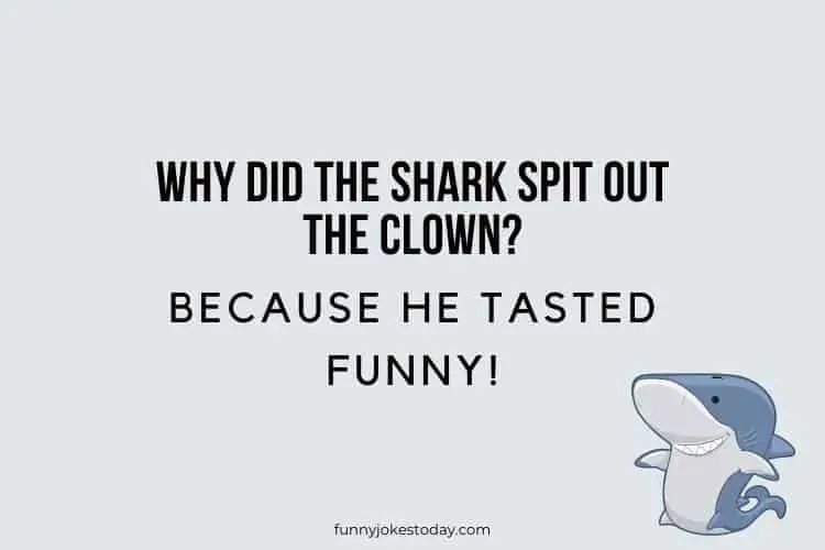 Animal Jokes - Why did the shark spit out the clown? 