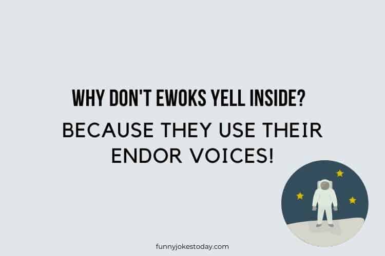 Star Wars Jokes - Why don't Ewoks yell inside?